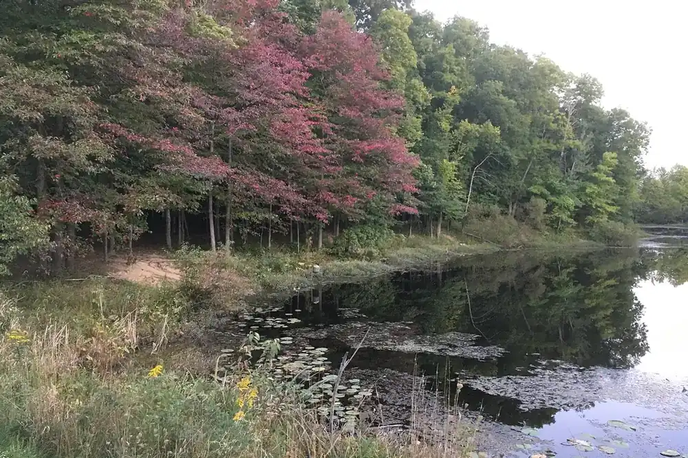 Autumn trees reflected in Beyer's Pond in the Big Creek Reservation near Middleburg Heights, Ohio