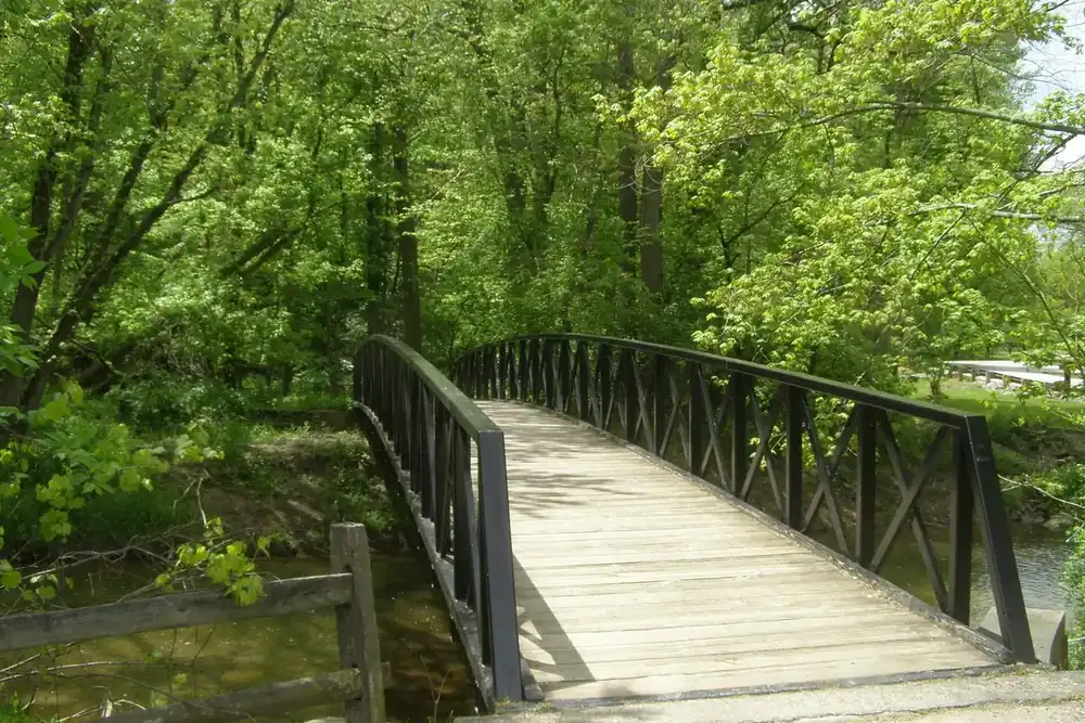 A wooden footbridge crossing a creek on a wooded trail in North Royalton, Ohio