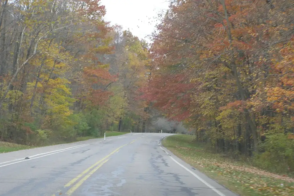 Autumn trees lining the curving Big Creek Parkway in Parma Heights, Ohio